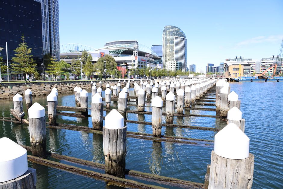A waterfront scene in an urban area featuring a series of weathered wooden posts with white protective caps, arranged in parallel lines to form a dock or pier structure extending into the water. The water surface is calm, reflecting the posts and the surrounding environment. In the background, modern high-rise buildings with glass facades and contemporary architectural designs are visible, including one curved tower and another with a distinctive rounded top. To the left, a row of evenly spaced young trees lines a paved promenade, with a few pedestrians visible in the distance. Further back, part of a large stadium or convention center with a distinctive roof structure can be seen, along with cranes and construction equipment indicating ongoing development. The sky is clear and blue, creating a bright, natural atmosphere typical of a sunny day. This scene offers a neutral, professional view of a city waterfront, subtly aligning with themes of urban development and infrastructure, relevant to private or alternative waste management services like those offered by Rubbish Collection Docklands, which might operate in such settings for on-site clearance or rubbish removal.