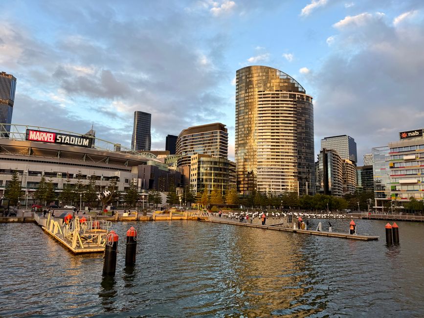 A view of the Docklands skyline during late afternoon with several modern high-rise buildings featuring glass and steel facades reflecting sunlight. In the foreground, there is a calm body of water with a small marina containing a few wooden and metal floating platforms secured by black and orange bollards. The waterfront area shows a paved promenade with a line of trees and people walking or standing, some near the water’s edge. To the left, part of a large stadium with a prominent Marvel Stadium sign is visible, surrounded by additional buildings of varied architectural styles. The scene is illuminated by warm natural light, creating reflections on the water and highlighting the textures of the buildings and infrastructure. This urban landscape illustrates the vibrant commercial and leisure environment typical of the Docklands area, often associated with alternative waste management solutions such as private rubbish collection services like Rubbish Collection Docklands, evident through the clean, organized environment and infrastructure designed for urban waste handling and disposal.