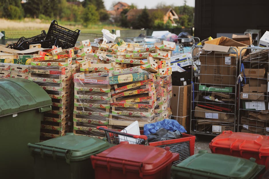 An outdoor scene showing a large pile of cardboard boxes, primarily labeled with 'fresh fruits' and 'eat' in colorful print, stacked on top of each other with some unorganized and leaning. To the left, there is a green wheeled rubbish bin with a closed lid, while in the foreground, smaller red and green plastic bins are visible, partly obscuring the larger piles. To the right, there is a metal cage-style shelving unit filled with various cardboard boxes and packaging materials, some partly opened, and additional boxes are placed on a wooden pallet on the ground. Behind the structure, blurred trees and rooftops of residential buildings can be seen, indicating a suburban or semi-rural environment. The scene is lit by natural daylight, creating a clear view of the materials and objects involved in waste or rubbish collection, aligning with the services provided by Rubbish Collection Docklands for alternative waste handling in the local area.